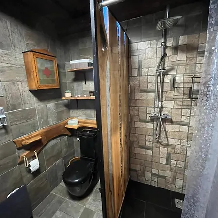 Living Past Vendeghaz *