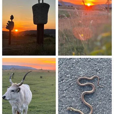 Living Past Vendeghaz * Kovagoors