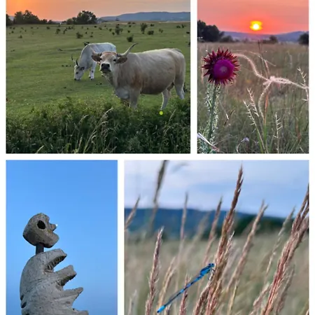 Διαμέρισμα Living Past Vendeghaz