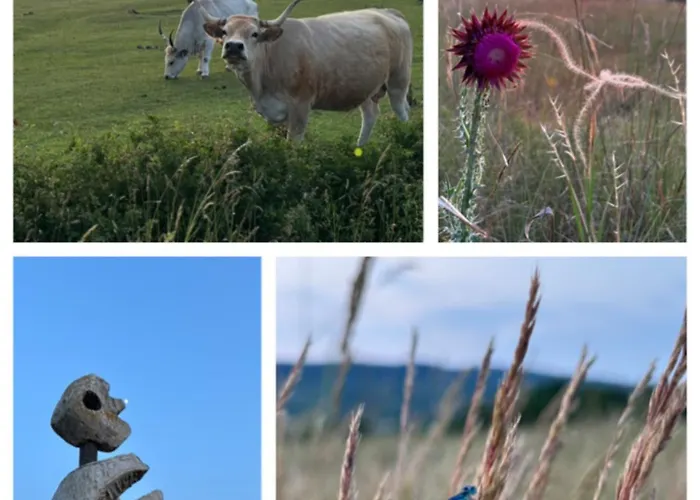 Appartement Living Past